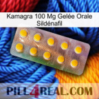 Kamagra 100 Mg Gelée Orale Sildénafil new11